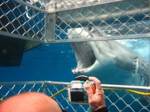Hope this sucker has brushed his teeth!