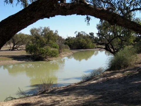 20111013-010951.jpg
