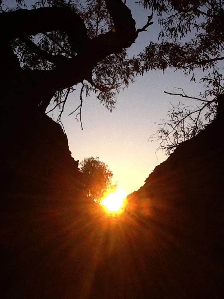 20111013-011145.jpg
