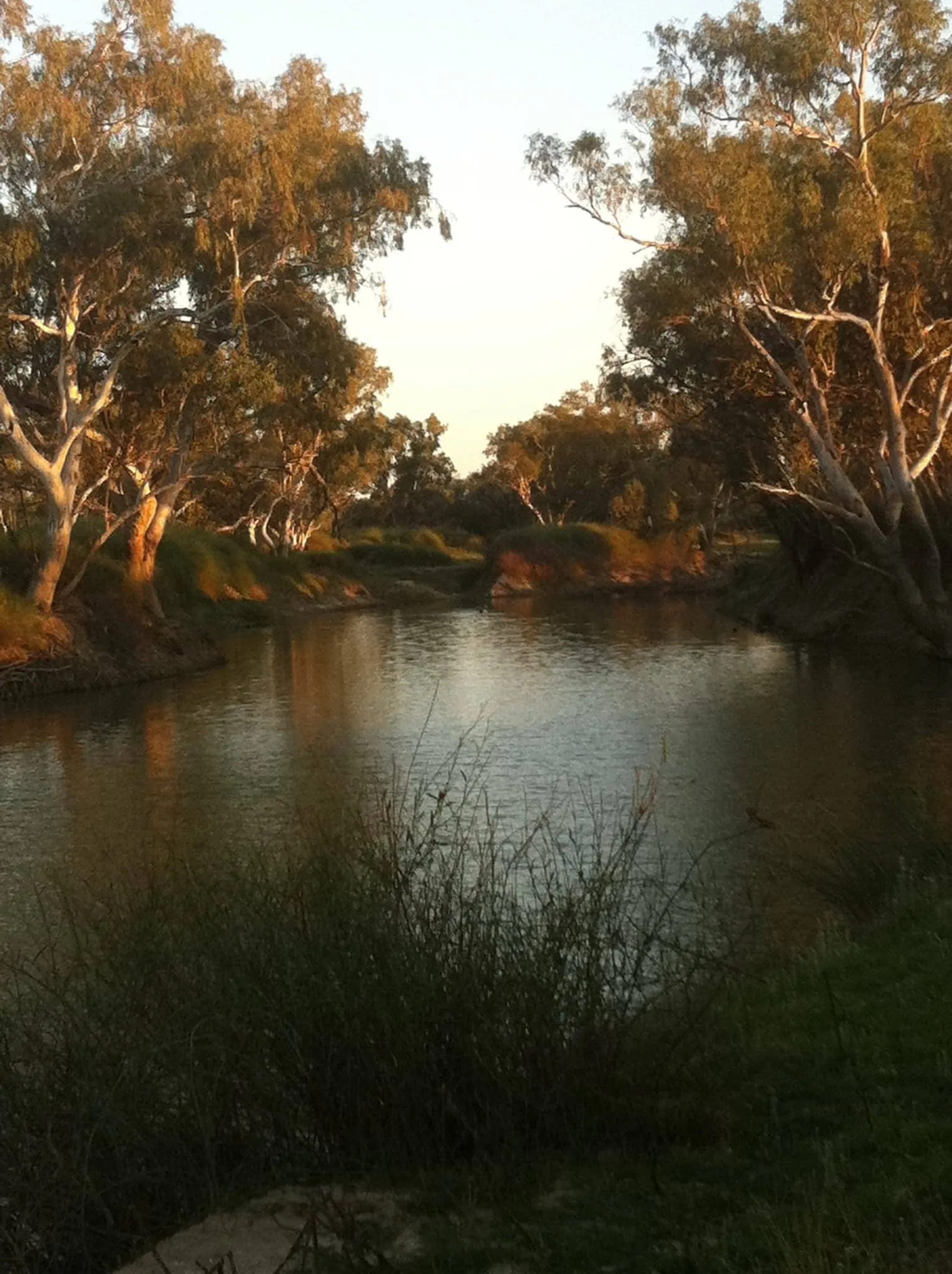 20111013-011205.jpg