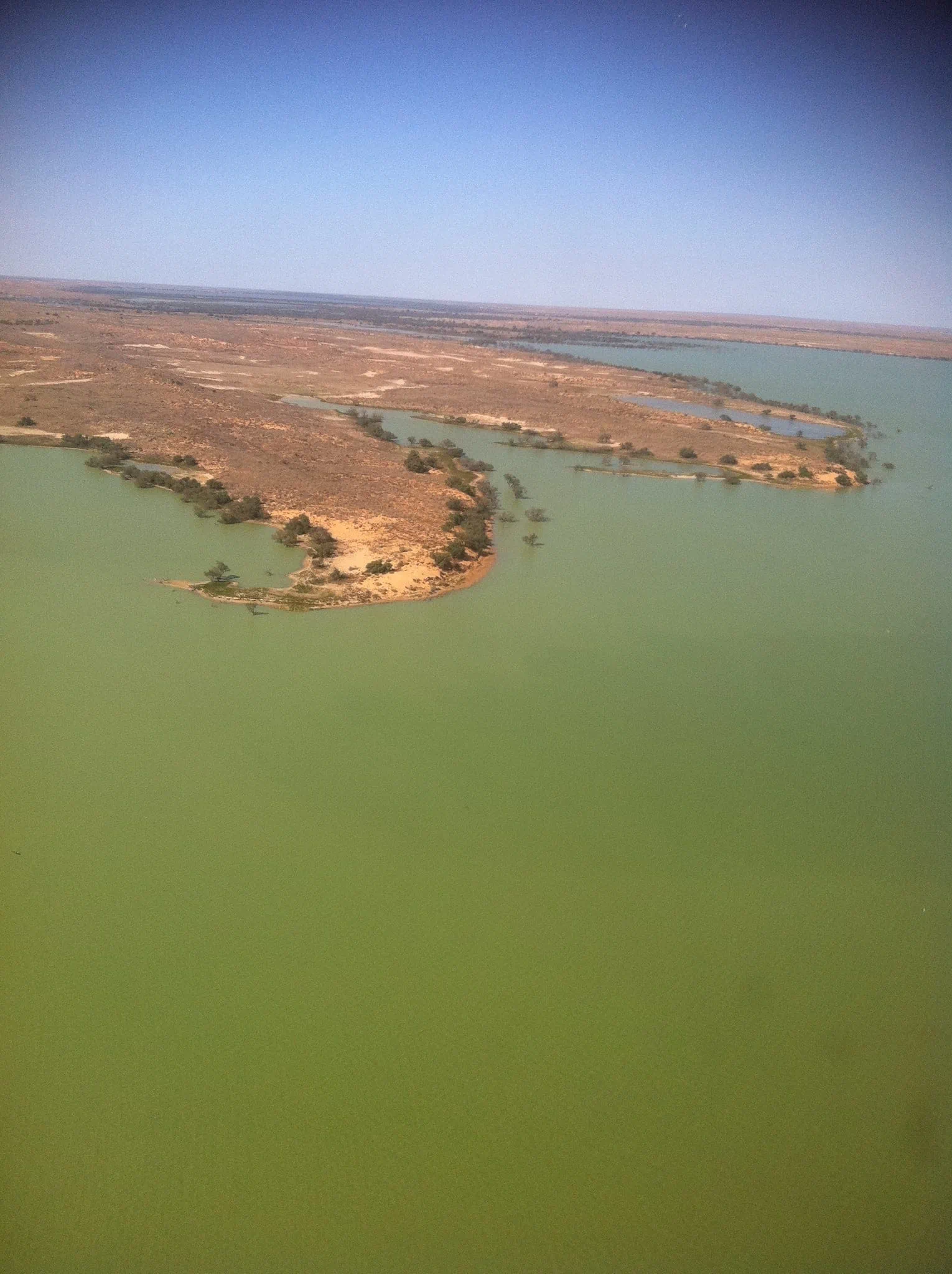 20111013-011243.jpg