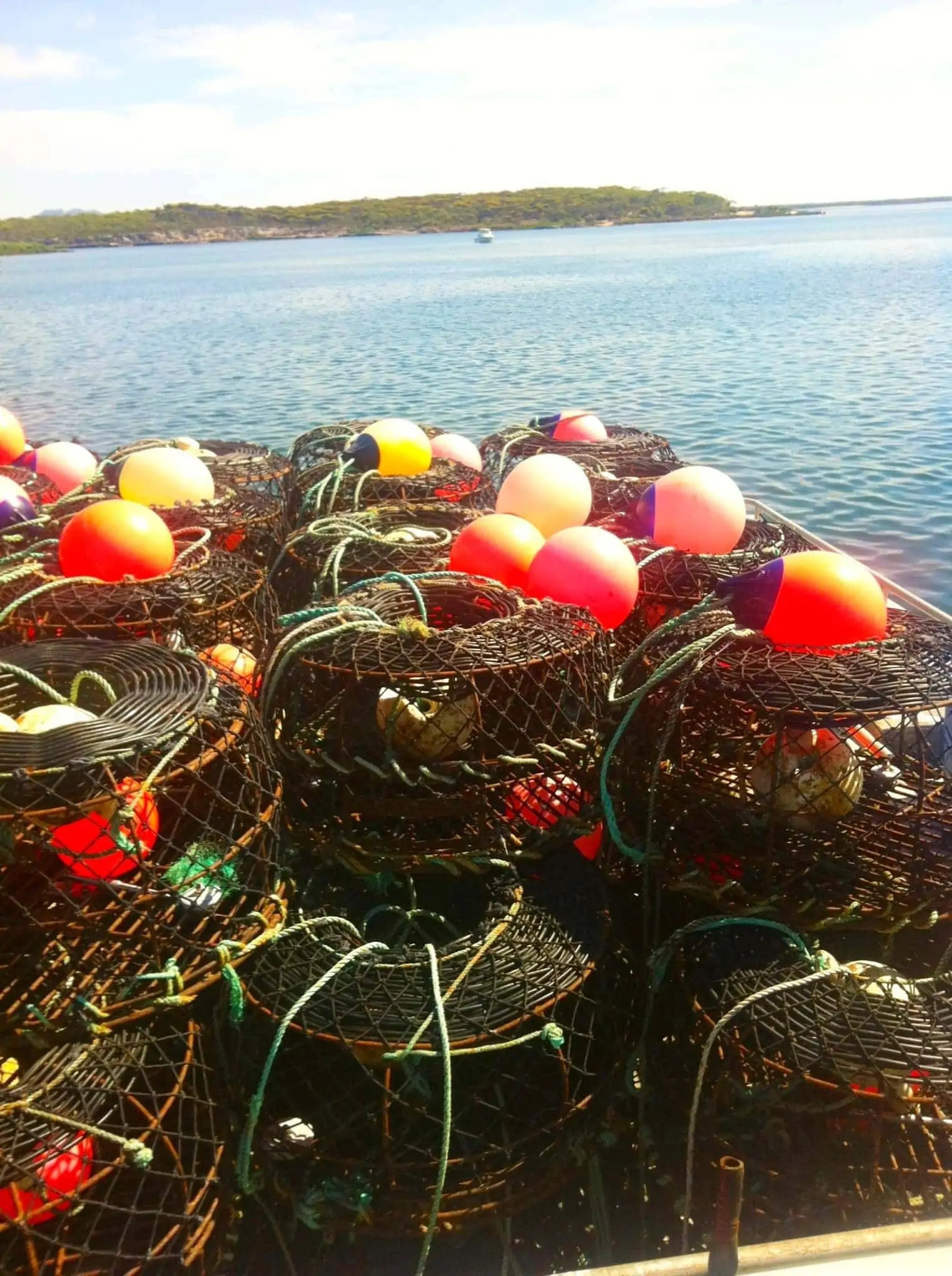 20120113-103937.jpg