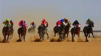 Running the Cup