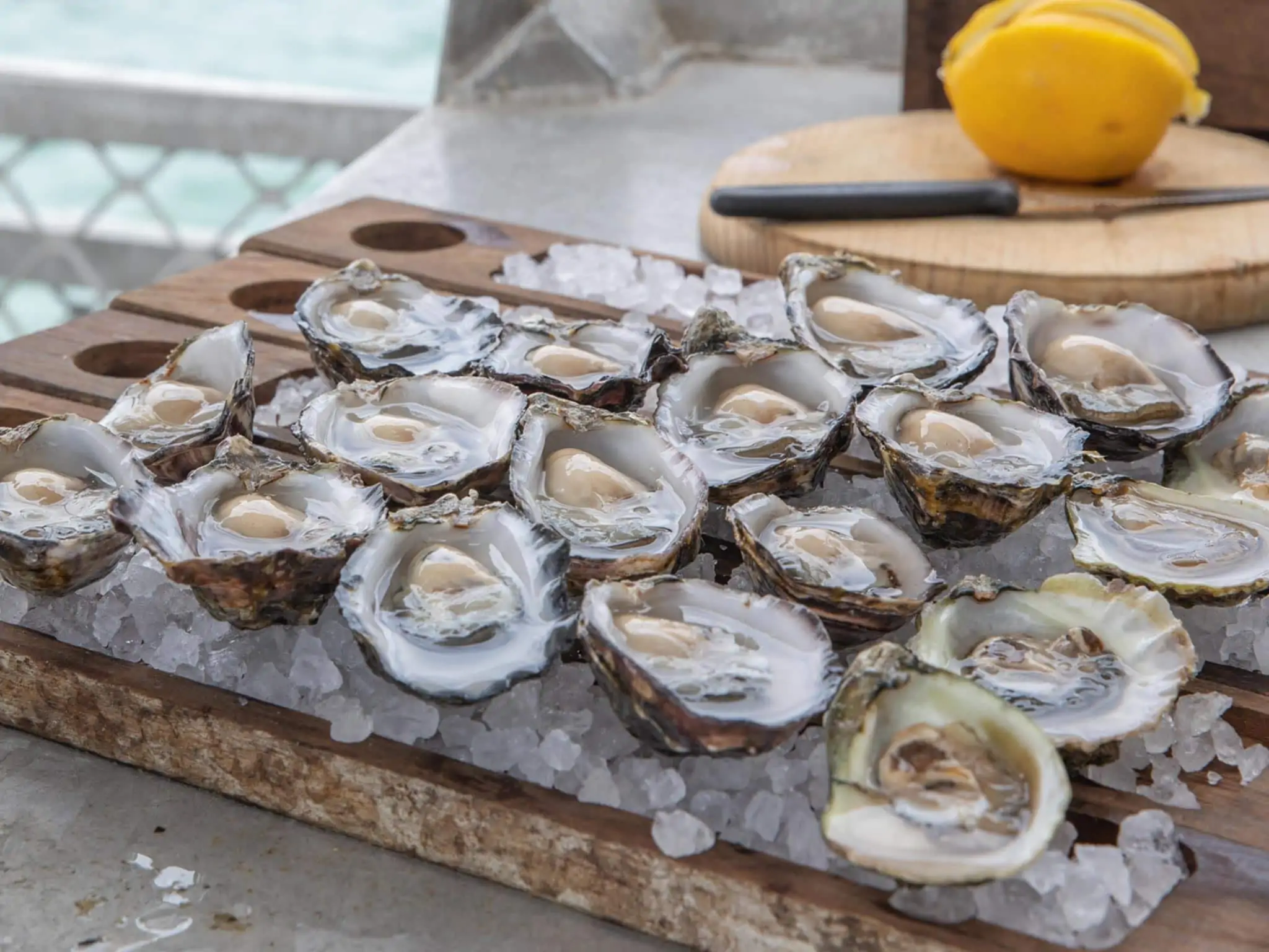 Australian Coastal Safaris Coffin Bay Oysters Ocean And Nature Tour 22332
