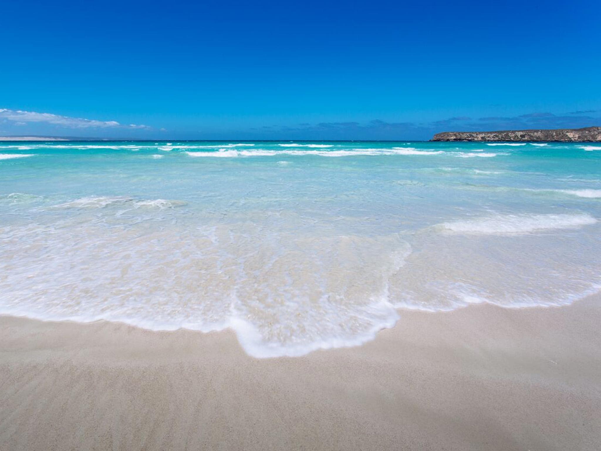 Australian Coastal Safaris Coffin Bay Oysters Ocean And Nature Tour 2495