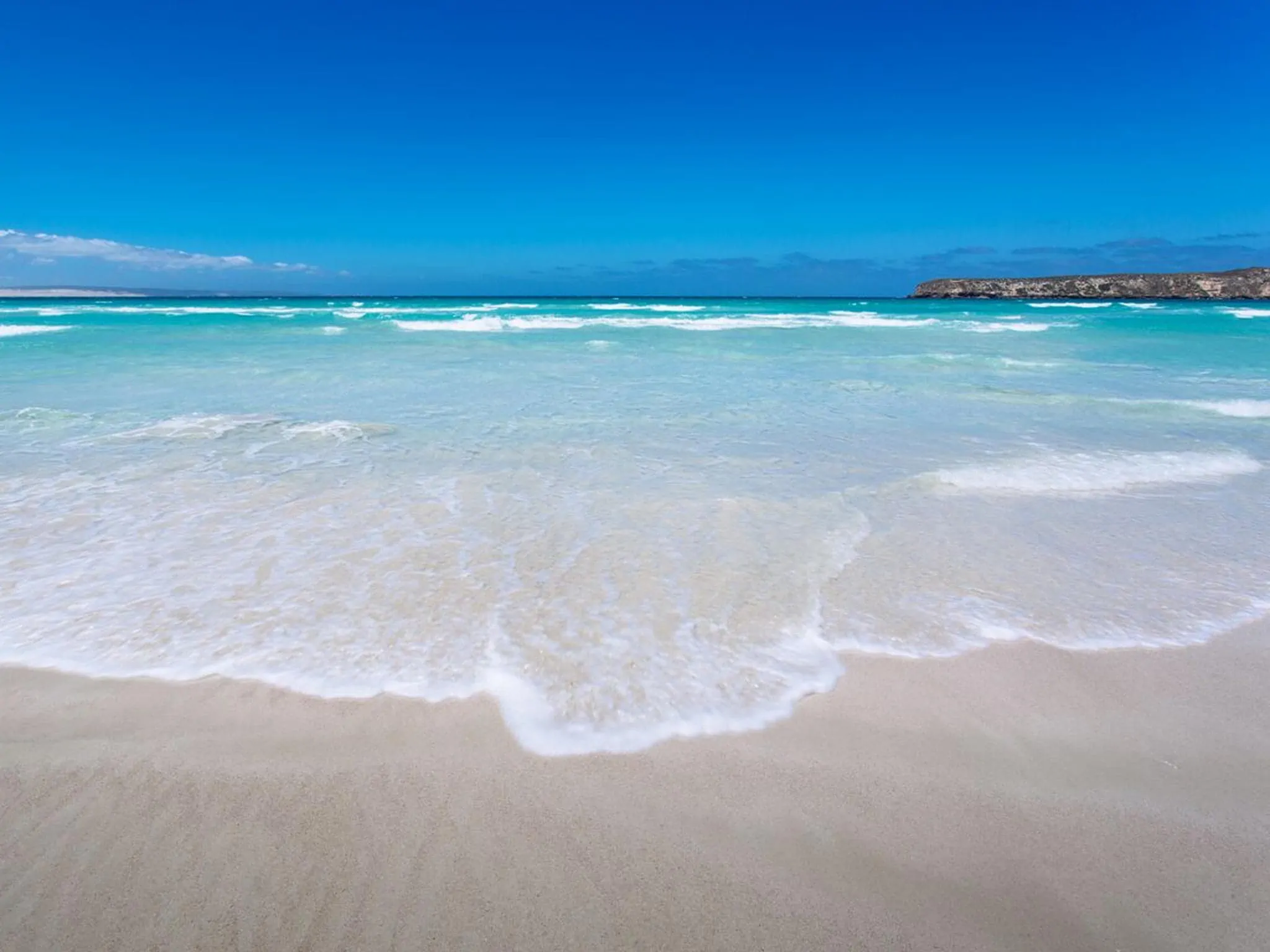 https://australiancoastalsafaris.com.au/wp-content/uploads/2019/03/Australian-Coastal-Safaris-Coffin-Bay-Oysters-Ocean-and-Nature-Tour-2495.webp