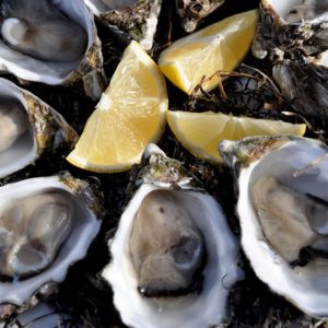 Australian Coastal Safaris Coffin Bay Oysters Ocean And Nature Tour Oysters