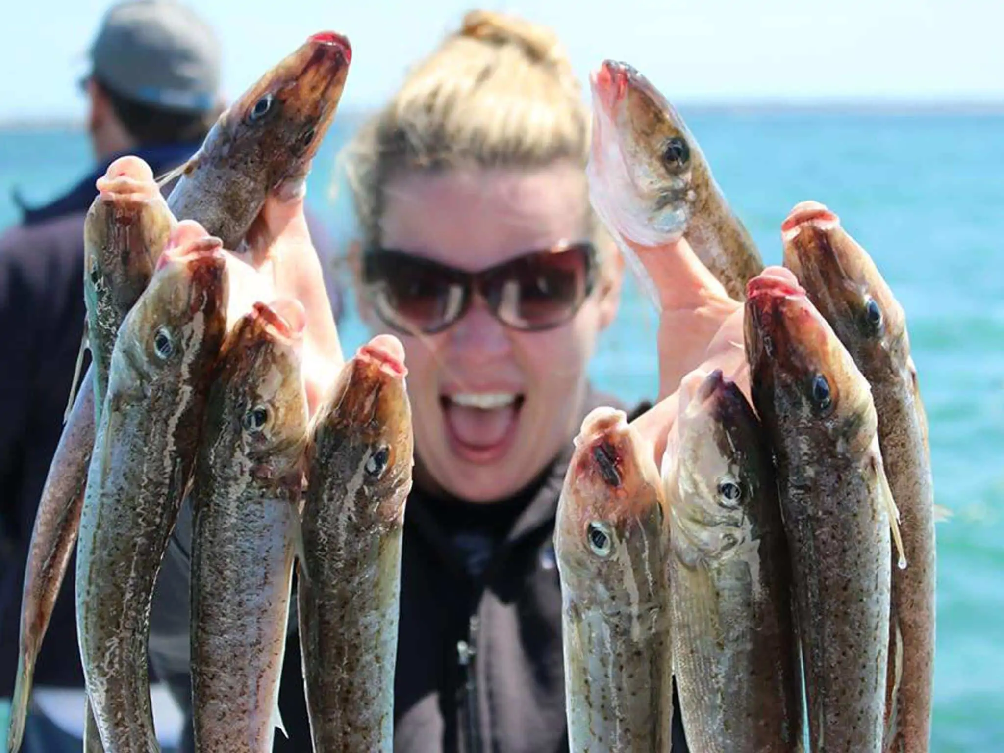 Australian Coastal Safaris Hook And Sinker Fishing Safari 10665799