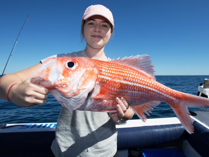 Australian Coastal Safaris Hook And Sinker Fishing Safari 2350