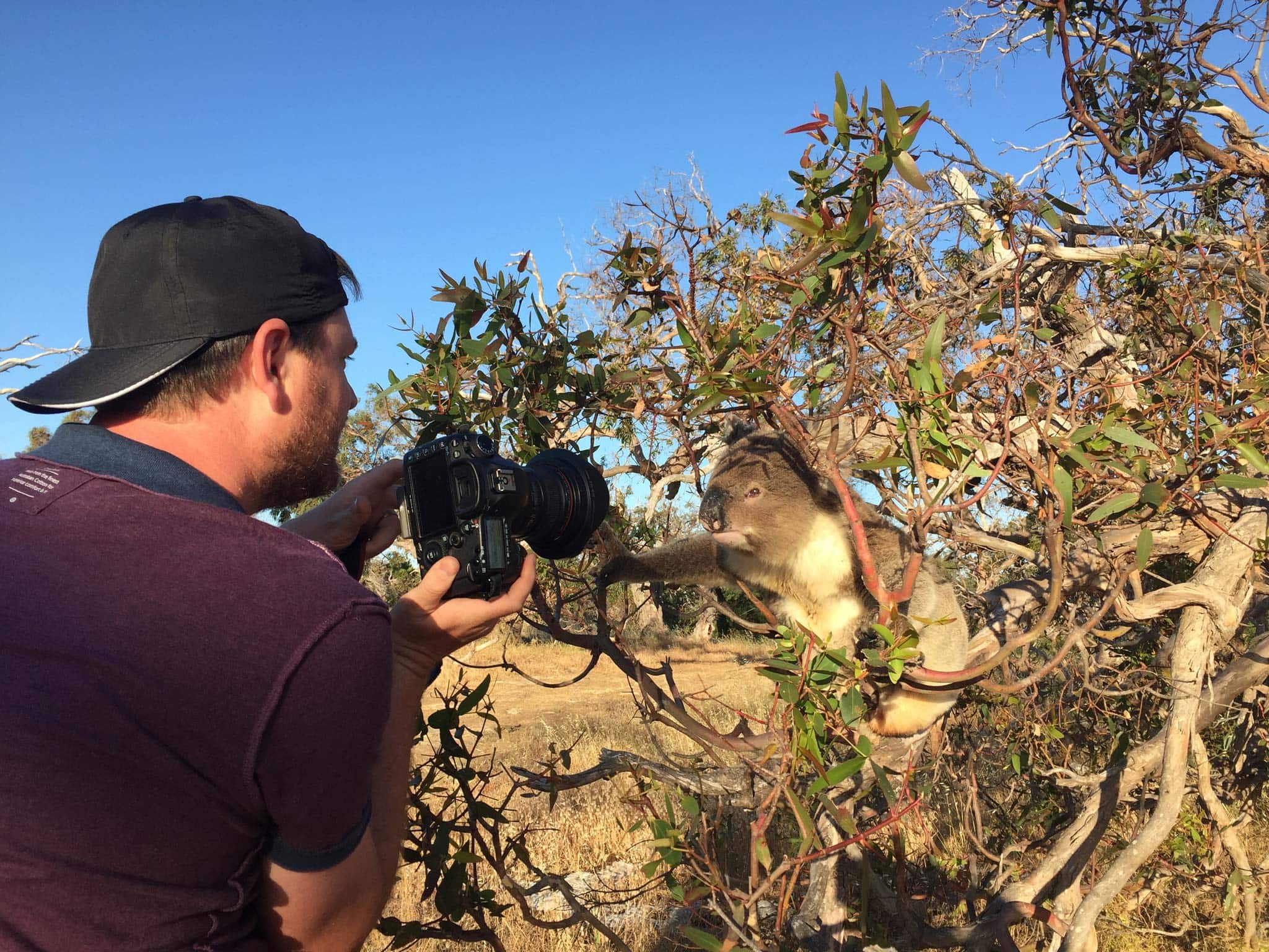 Australian Coastal Safaris Nature And Wildlife Tours 5547 Australian Coastal Safaris Nature And Wildlife Tours 5547