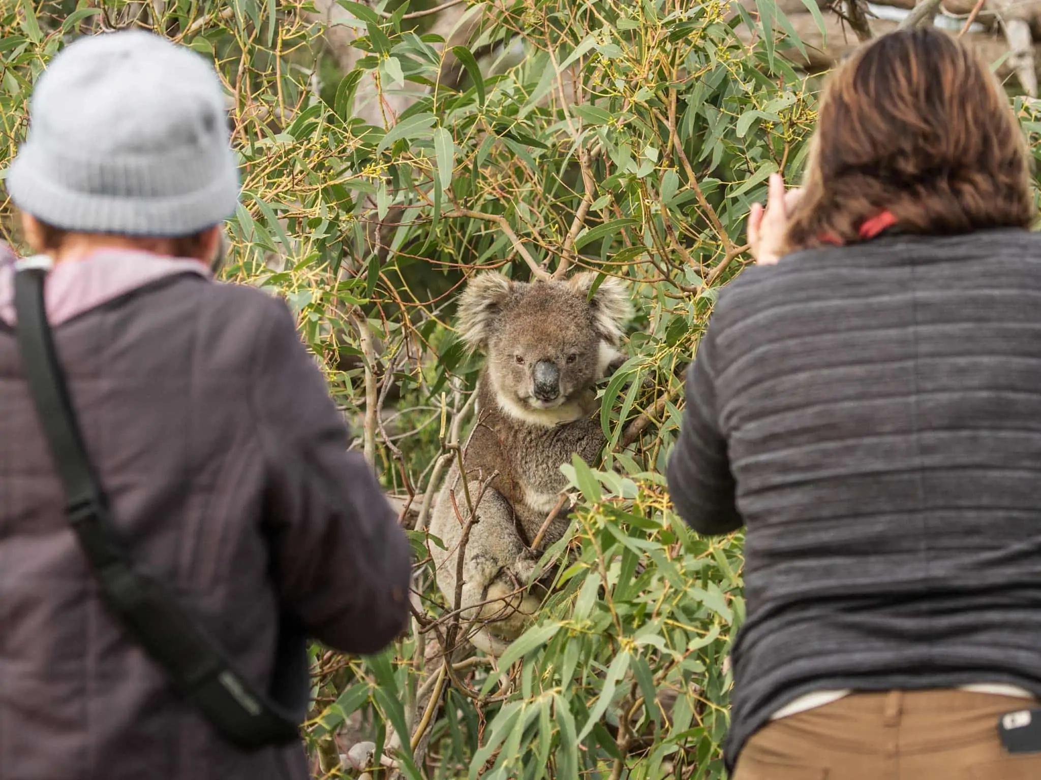Australian Coastal Safaris Our Tours Outback To Ocean Photography Workshop 1849