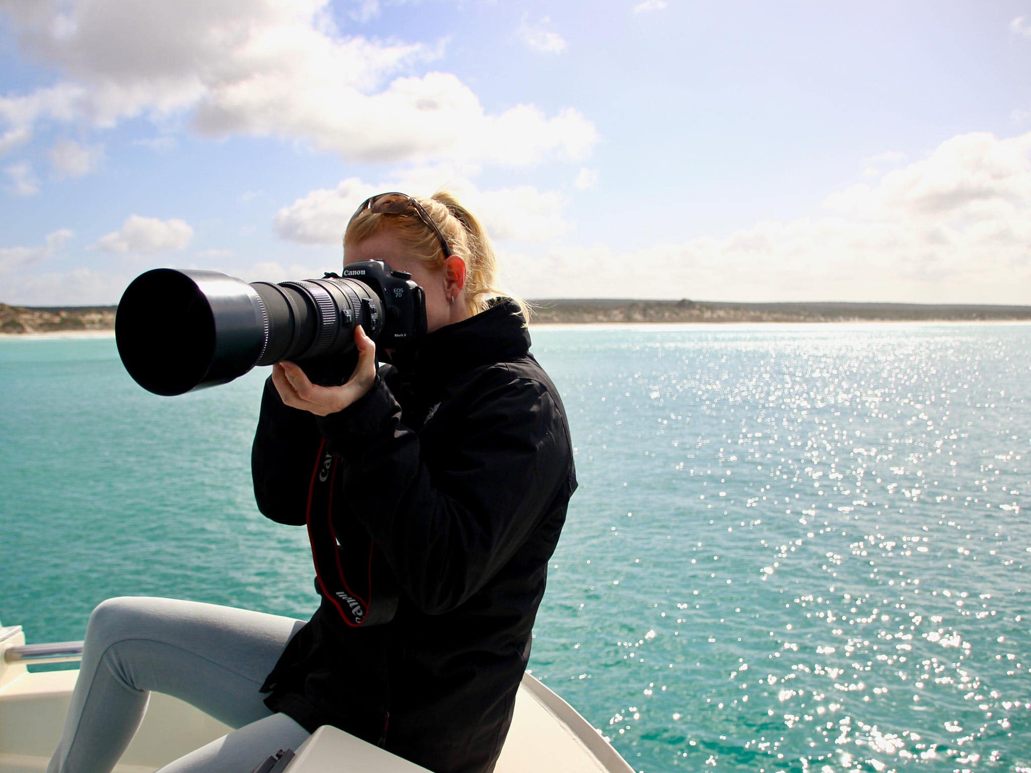 Australian Coastal Safaris Our Tours Winter Whale Watching And Wildlife Encounter 4273