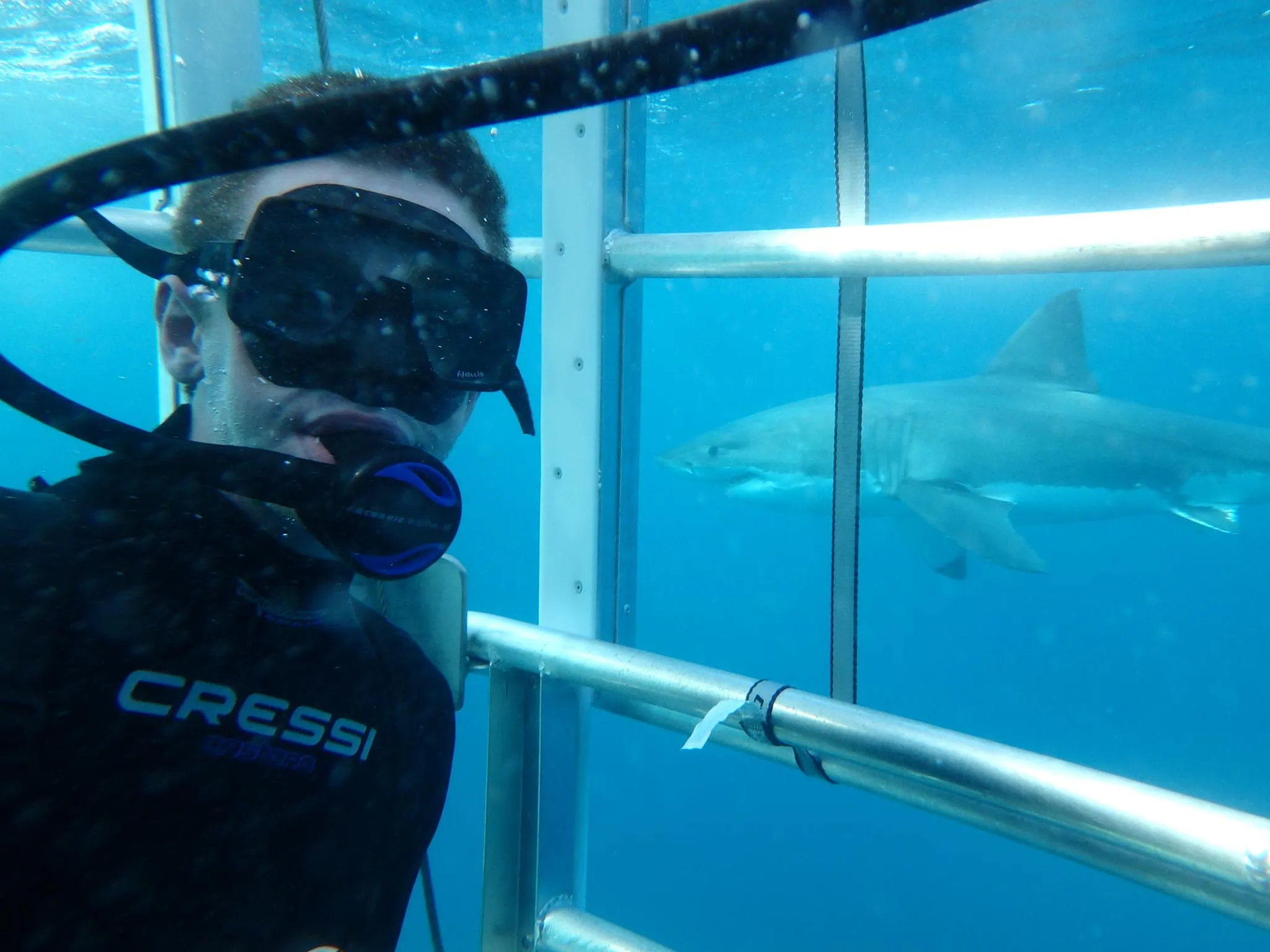 Australian Coastal Safaris Port Lincoln Underwater Weekend Adventure 140644