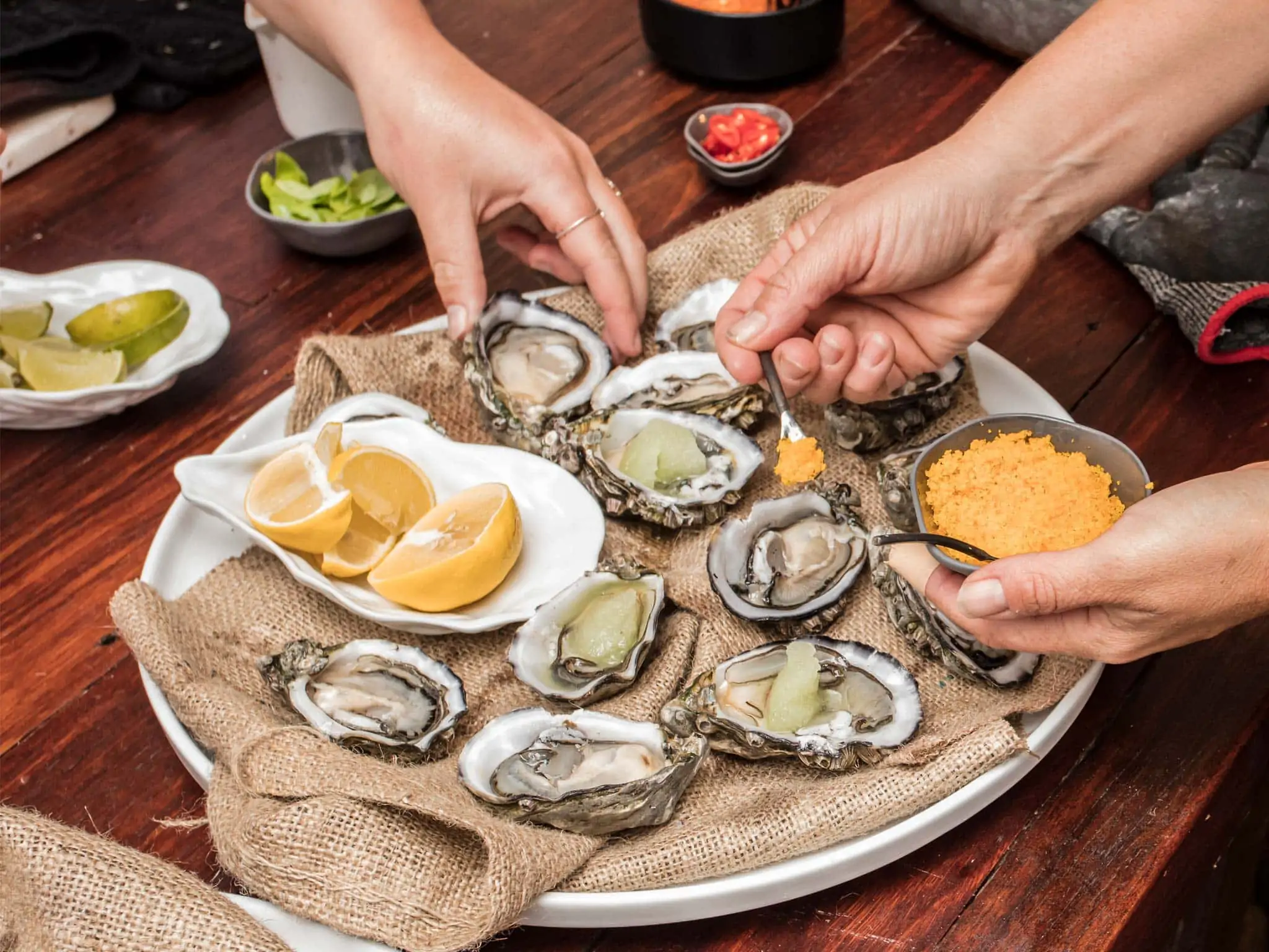 Australian Coastal Safaris Seafood And Wine Tours 817265