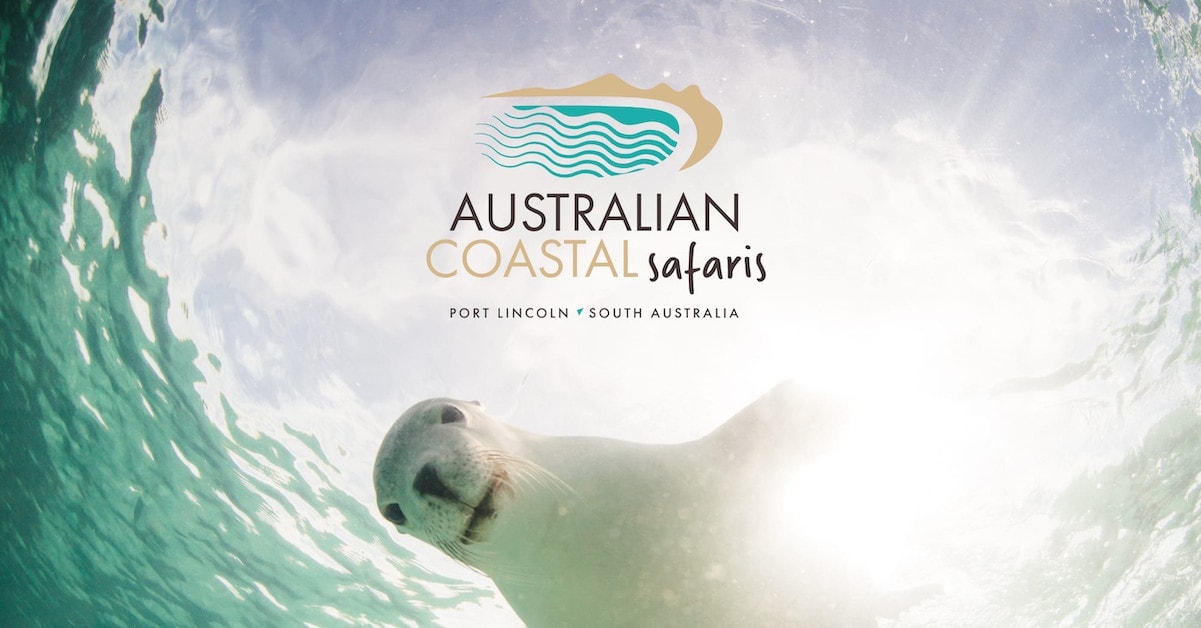 Australian Coastal Safaris Logo and Sea Lion