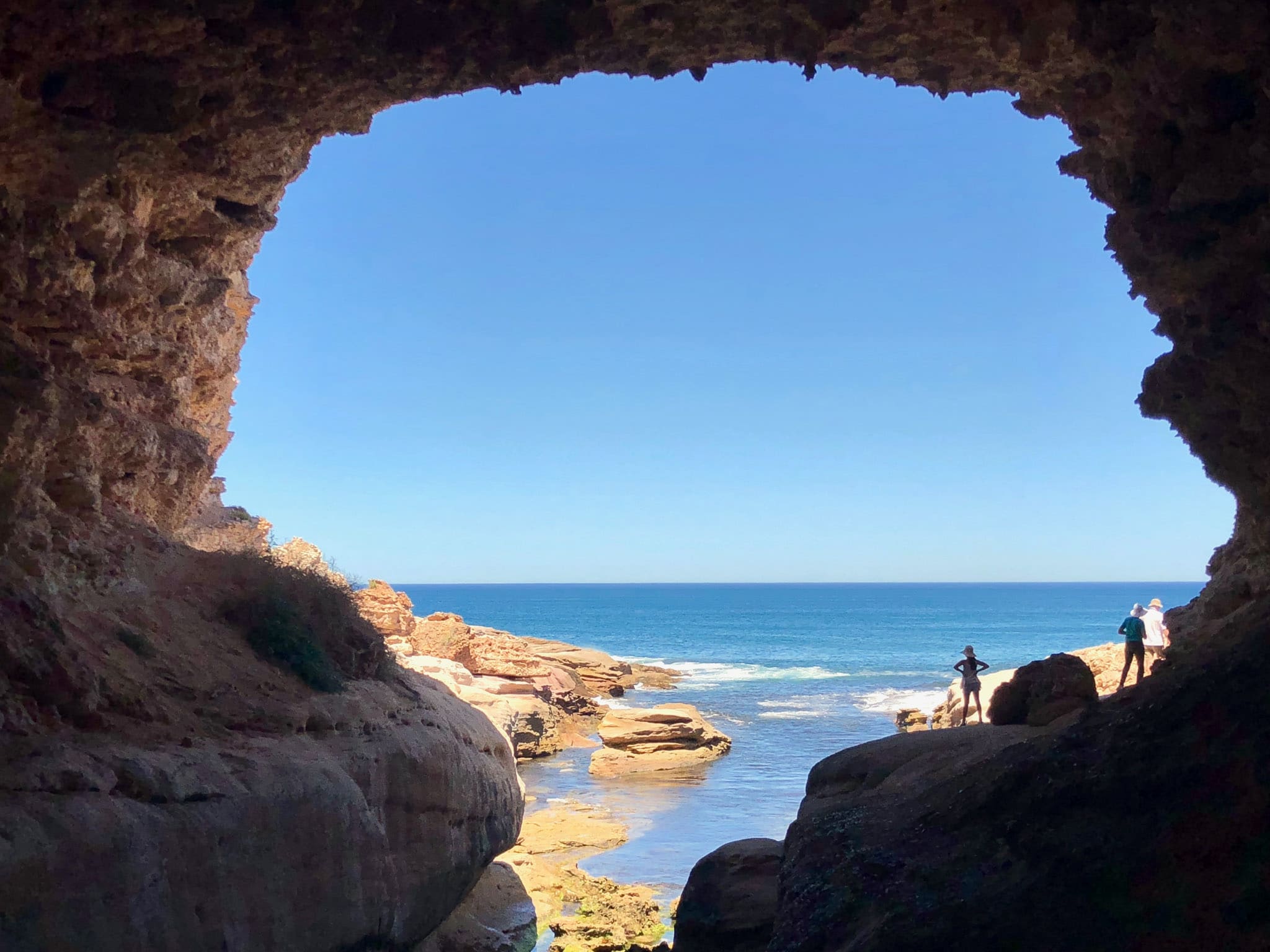 https://australiancoastalsafaris.com.au/wp-content/uploads/2020/04/Australian-Coastal-Safaris-Ocean-and-Wildlife-Encounter-Blog-6.jpg
