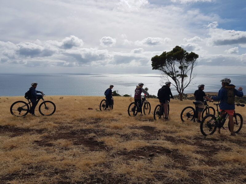 E-Bikes