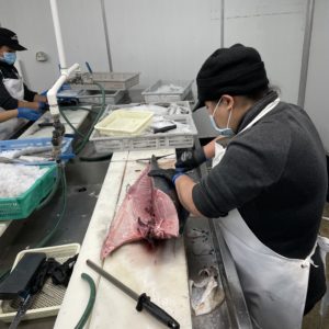 Fresh Fish Place behind the scenes