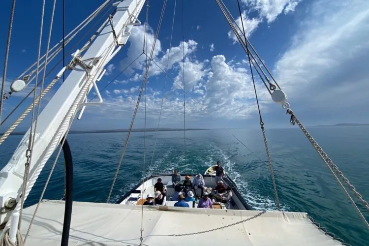 https://australiancoastalsafaris.com.au/wp-content/uploads/2021/11/IMG_8033-scaled-750x500.webp