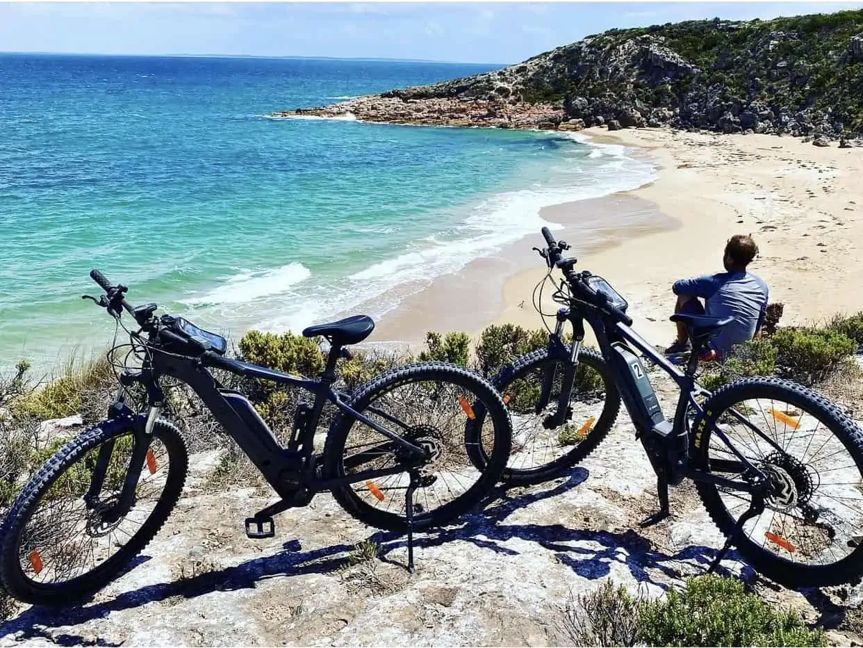 electric mountain bike