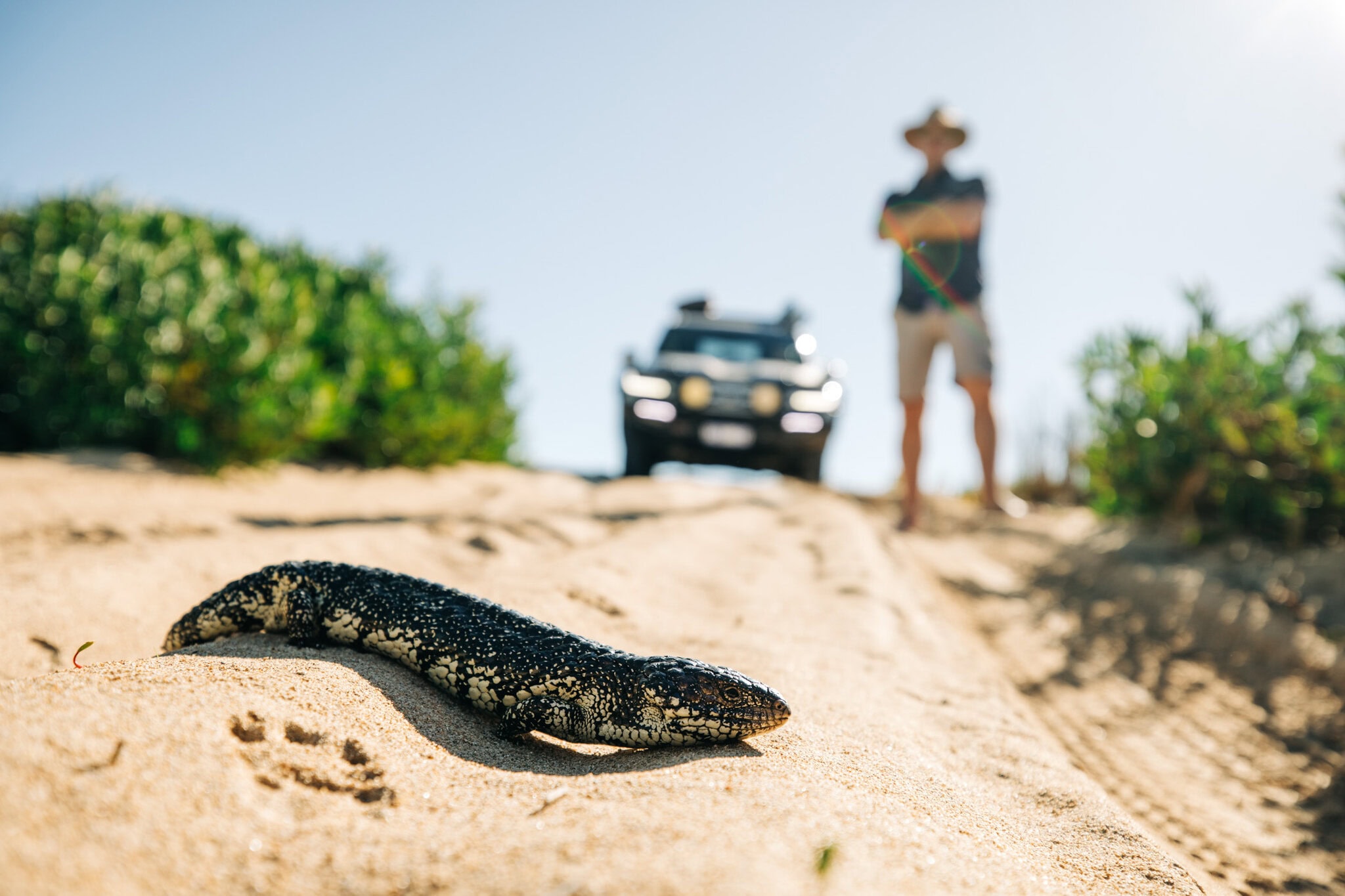20240618 RM Williams Australia In Style Australian Coastal Safaris 226