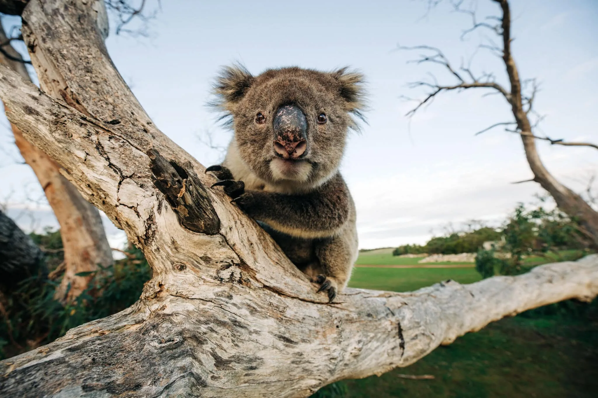 20240618 RM Williams Australia In Style Australian Coastal Safaris 379