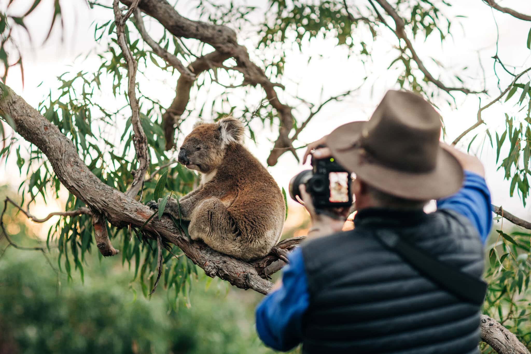 20240618 RM Williams Australia In Style Australian Coastal Safaris 428 20240618 RM Williams Australia In Style Australian Coastal Safaris 428