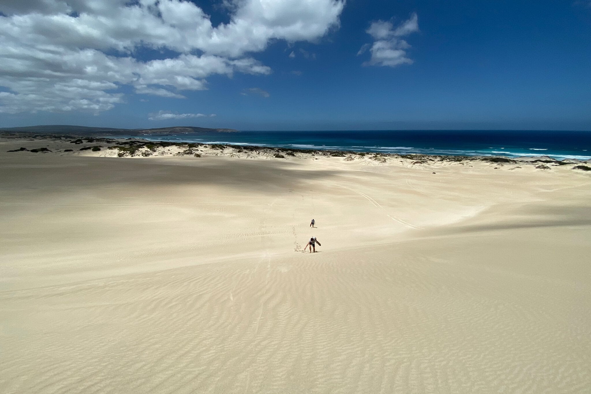 https://australiancoastalsafaris.com.au/wp-content/uploads/2025/08/IMG_3928.jpg