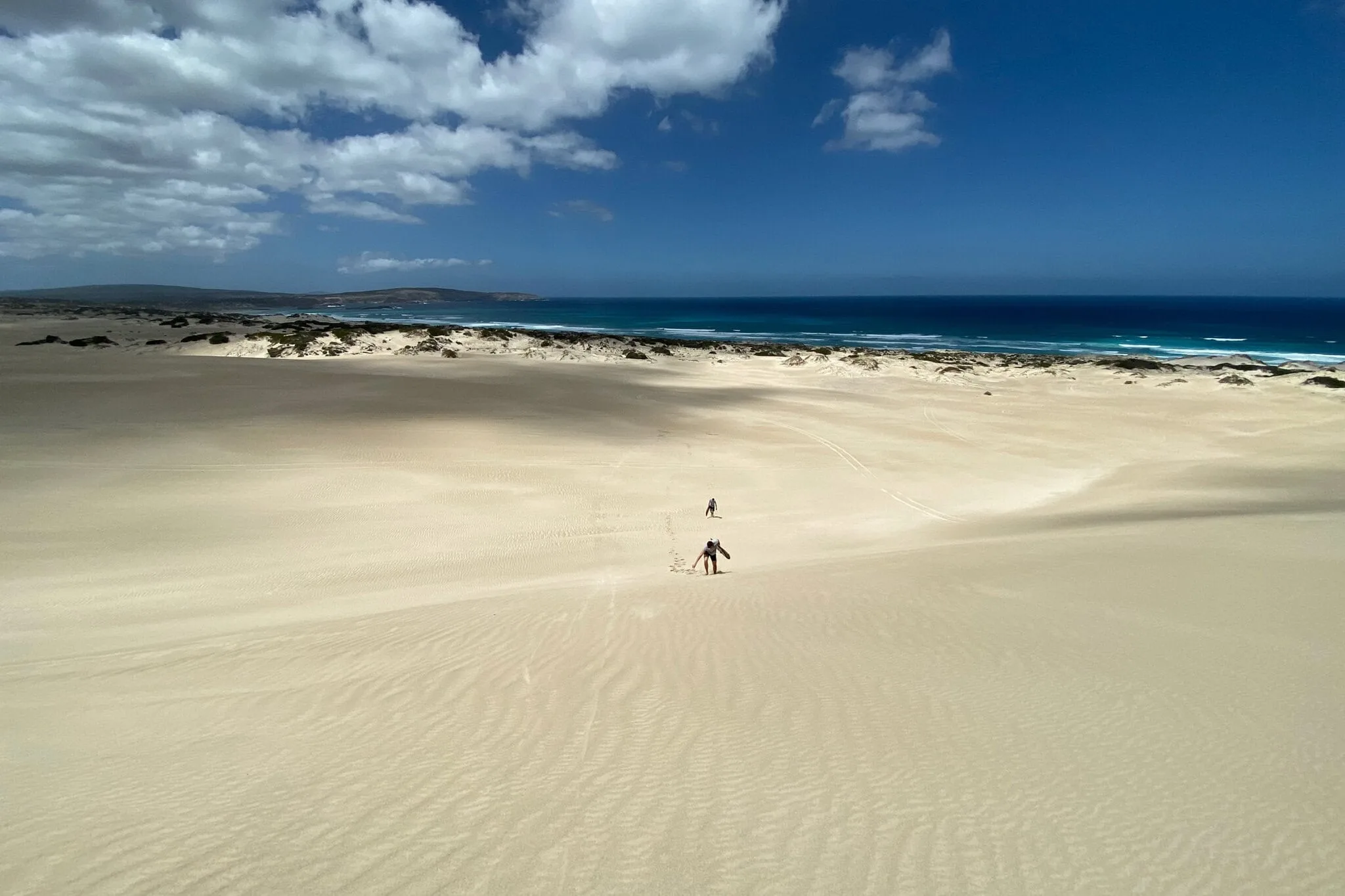 https://australiancoastalsafaris.com.au/wp-content/uploads/2025/08/IMG_3928.webp