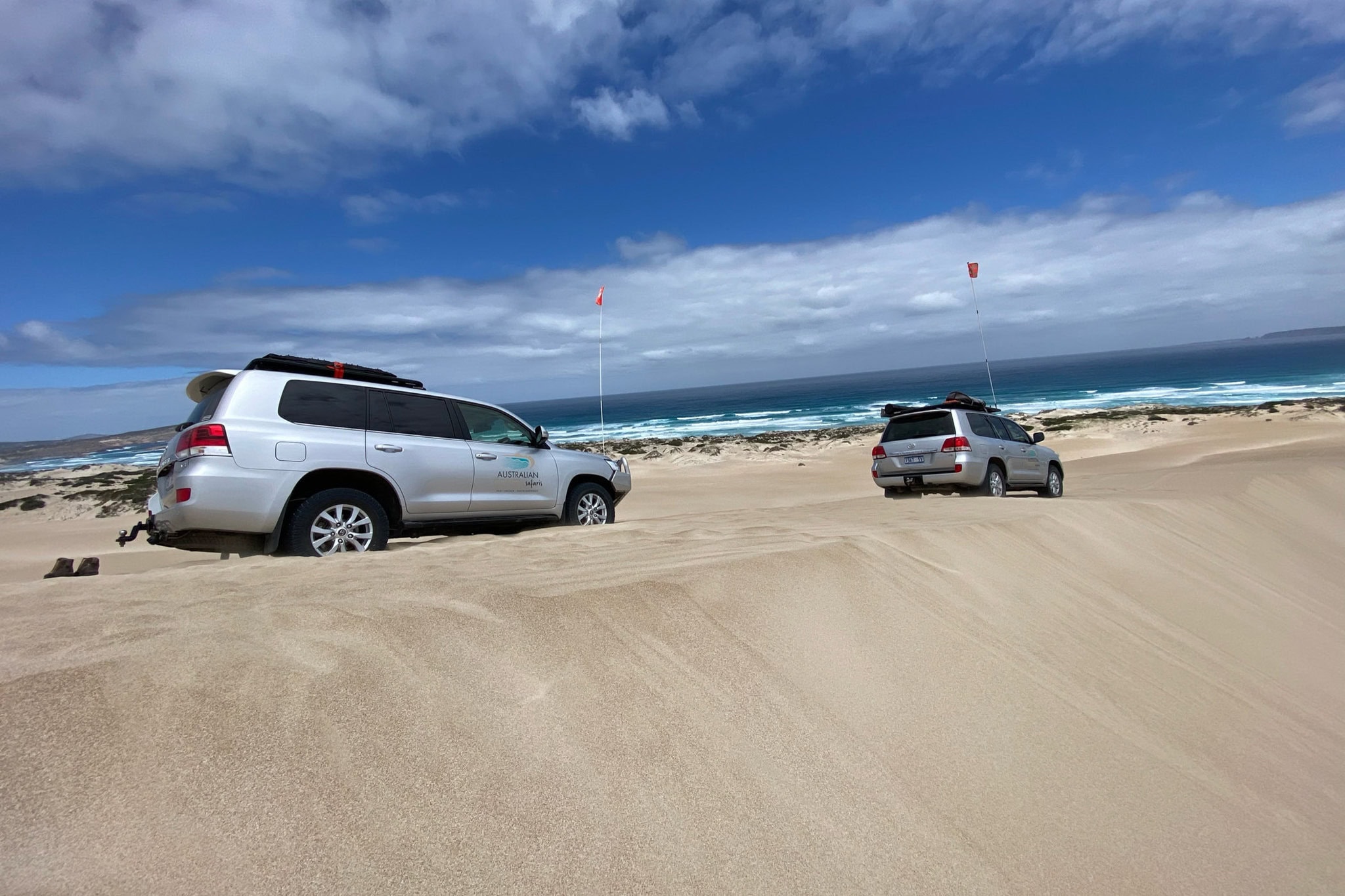 https://australiancoastalsafaris.com.au/wp-content/uploads/2025/08/IMG_9946.jpg