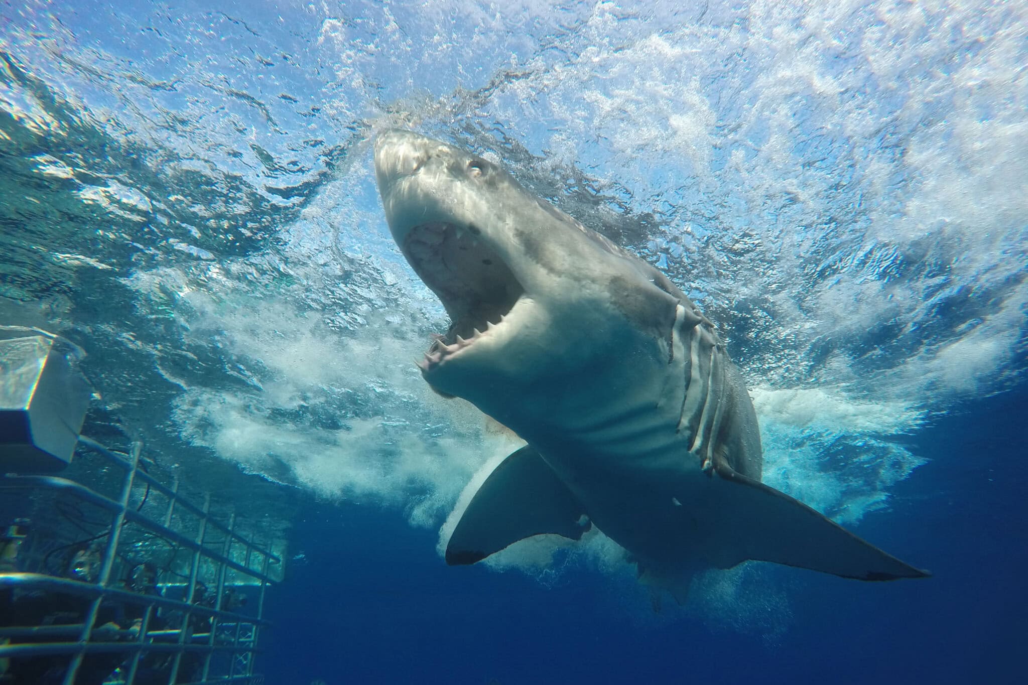 DCIM100GOPROGOPR0579.