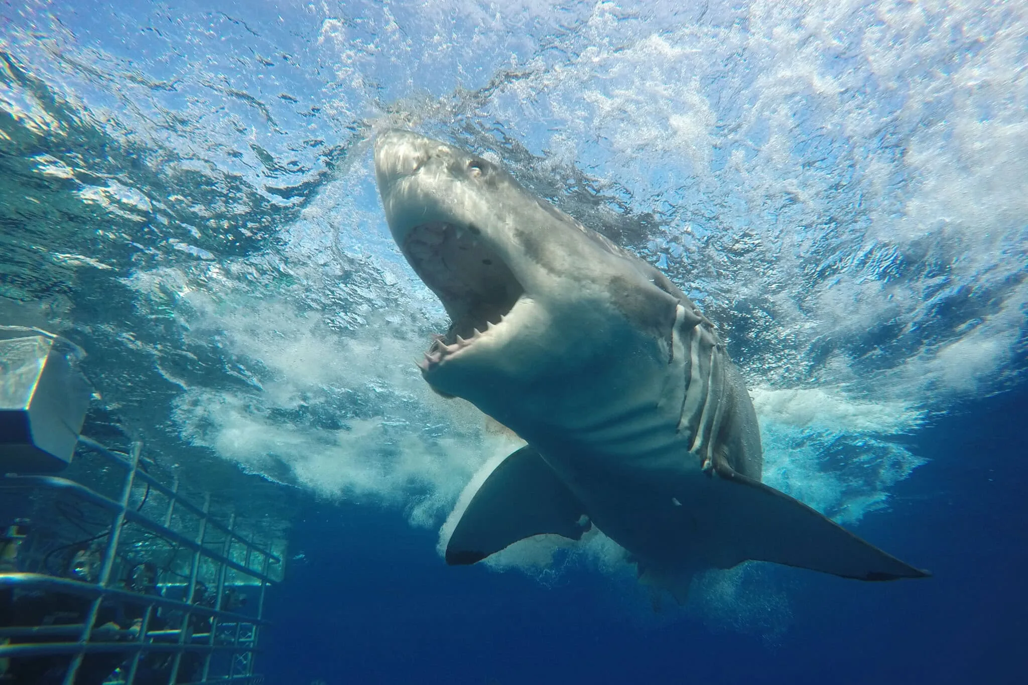 DCIM100GOPROGOPR0579.