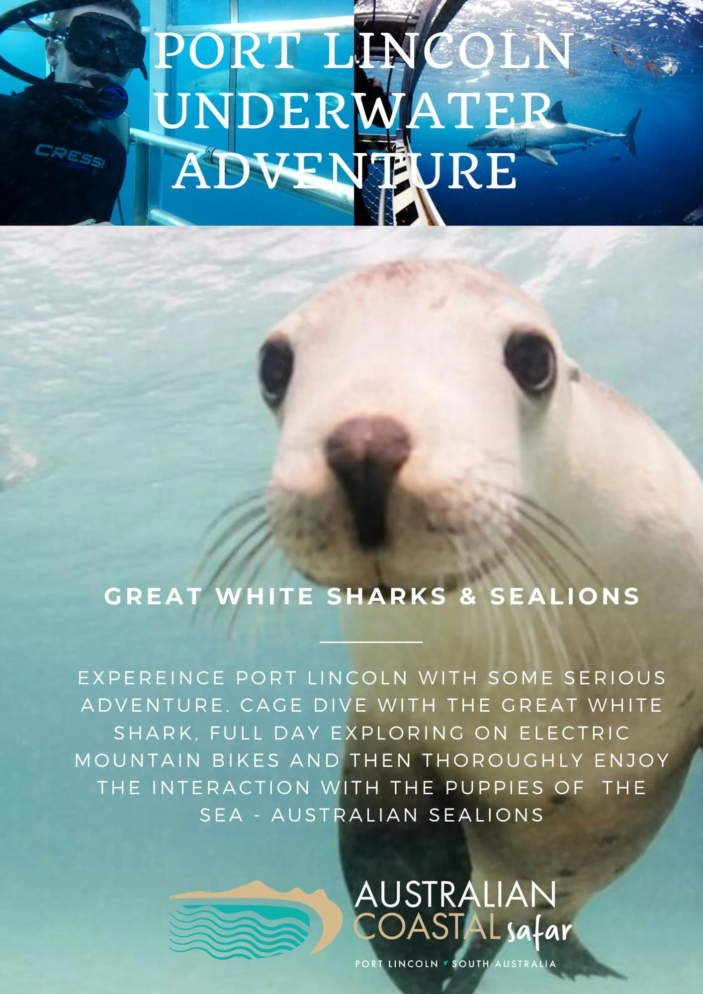 https://australiancoastalsafaris.com.au/wp-content/uploads/2025/12/3.webp