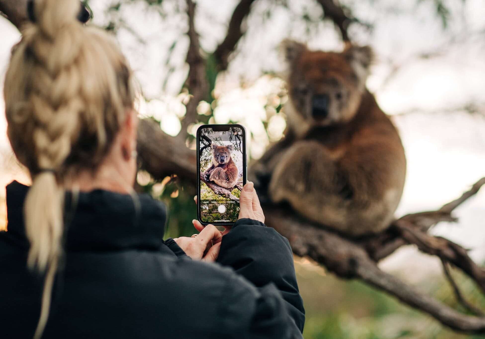 20240618 RM Williams Australia In Style Australian Coastal Safaris 426 20240618 RM Williams Australia In Style Australian Coastal Safaris 426