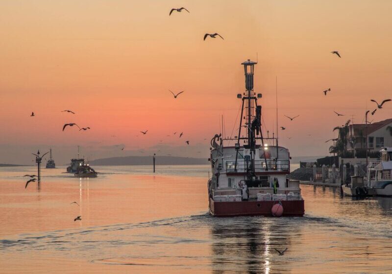Australian-Coastal-Safaris-Our-Tours-Outback-to-Ocean-Photography-Workshop-7659