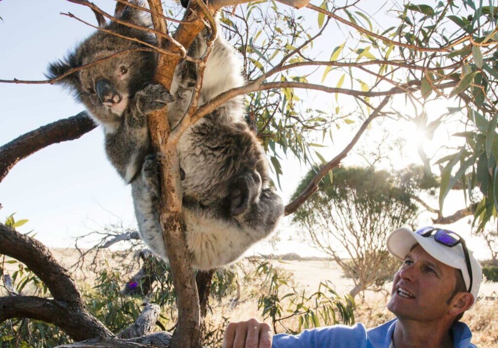 Australian-Coastal-Safaris-Tailor-Made-Tours-0720